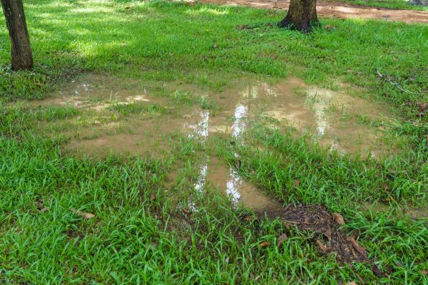 Cost of Storm Water Drainage Service in Maryville