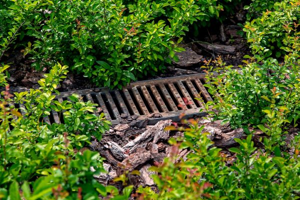 Cost of Underground Drainage Service in Maryville
