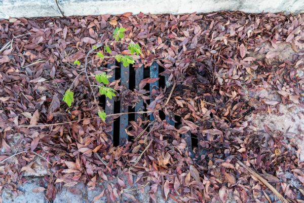 Cost of Yard Drain Unclogging in Maryville