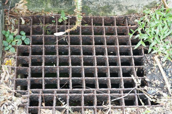 Cost of Yard Drain Cleaning in Maryville
