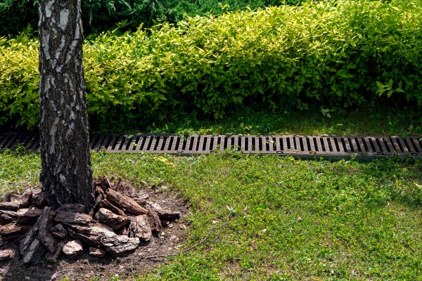 Cost of Wet Yard Drainage in Maryville