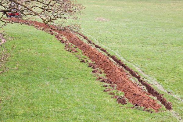 Cost of Swale Installation in Maryville