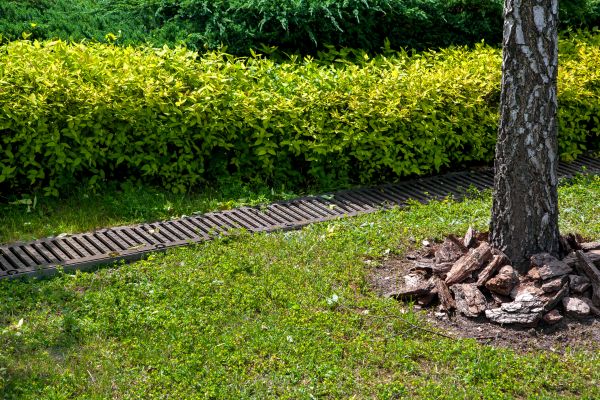 Cost of Residential Landscape Drainage in Maryville