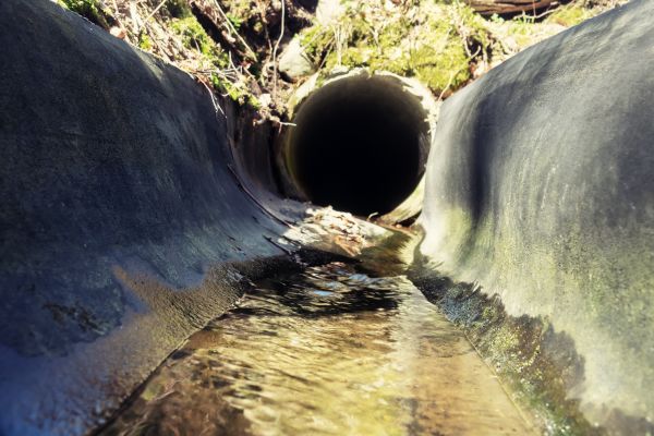 Cost of Drainage Swale Installation in Maryville