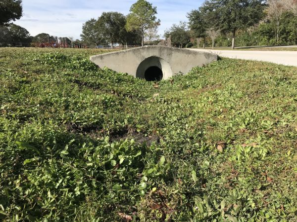 Cost of Swale Drainage Service in Maryville